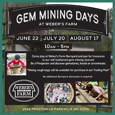 Join us for Gem Mining Days at Weber's Farm in Parkville, MD